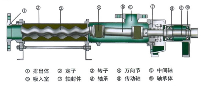 G型臥式單螺桿泵內(nèi)部結(jié)構圖